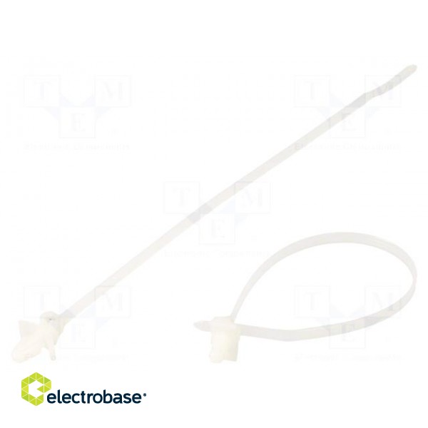 Cable tie | with fixing lugs | L: 168mm | W: 3.6mm | polyamide | 178N