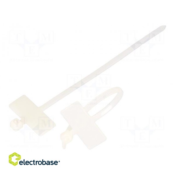 Cable tie | with label | L: 100mm | W: 2.5mm | natural | 100pcs.