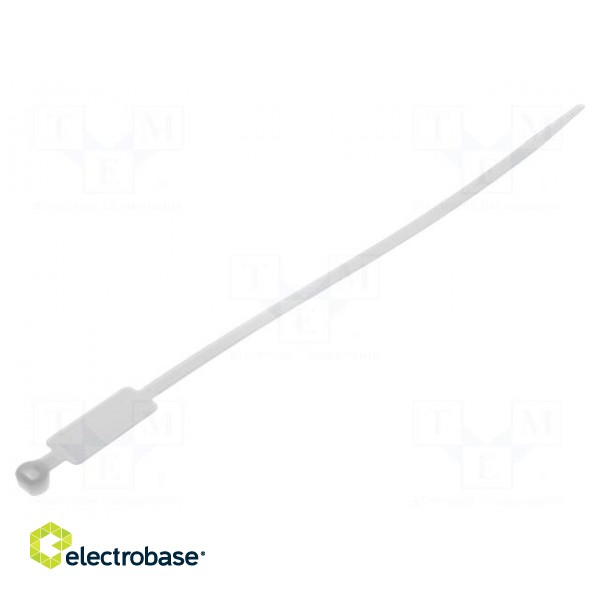 Cable tie | with label | L: 220mm | W: 4.8mm | polyamide | 220N | natural