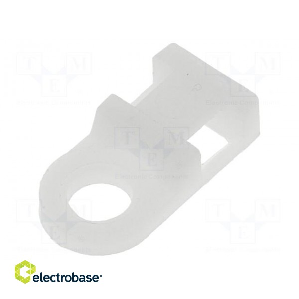 Cable tie holder | polyamide | natural | A: 4.8mm | B: 9.5mm | C: 19.1mm