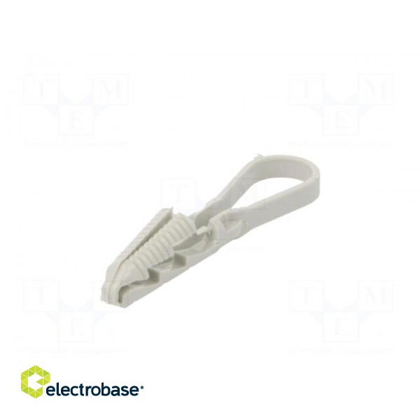 Cable strap clip | ØBundle : 3÷13mm | W: 4mm | polyamide | light grey image 6