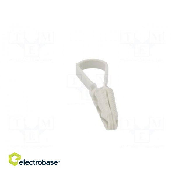 Cable strap clip | ØBundle : 3÷13mm | W: 4mm | polyamide | light grey image 5