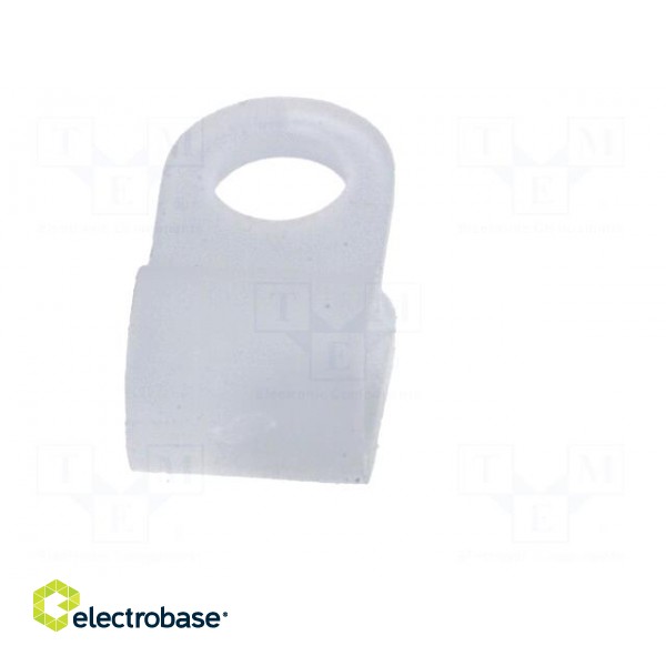 Fixing clamp | Cable P-clips | ØBundle : 3.5mm | polyamide | natural image 5