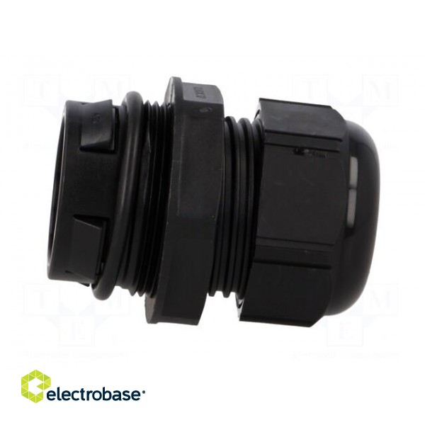 Cable gland | IP68 | polyamide | black | push-in | Ømount.hole: 32.3mm image 7