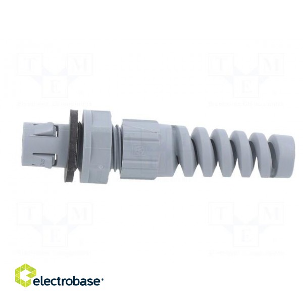 Cable gland | IP68 | polyamide | dark grey | push-in image 3