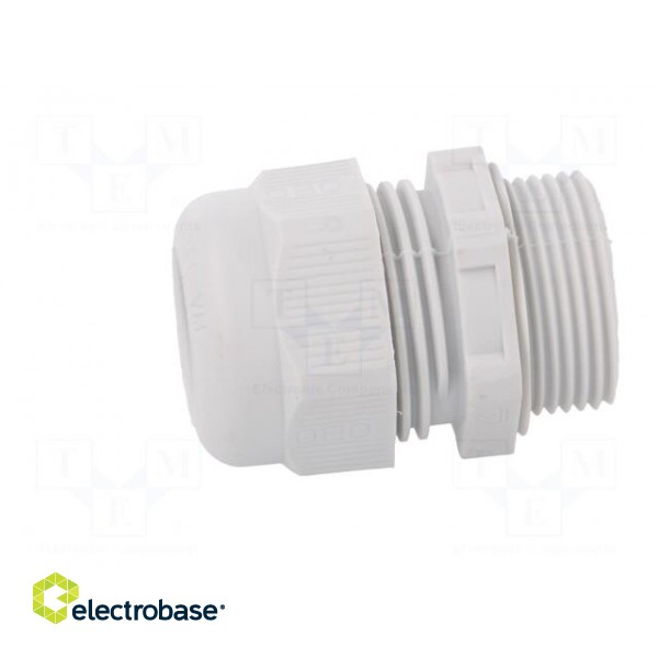 Cable gland | with metric thread | M25 | 1,5 | IP68 | Mat: polyamide image 3