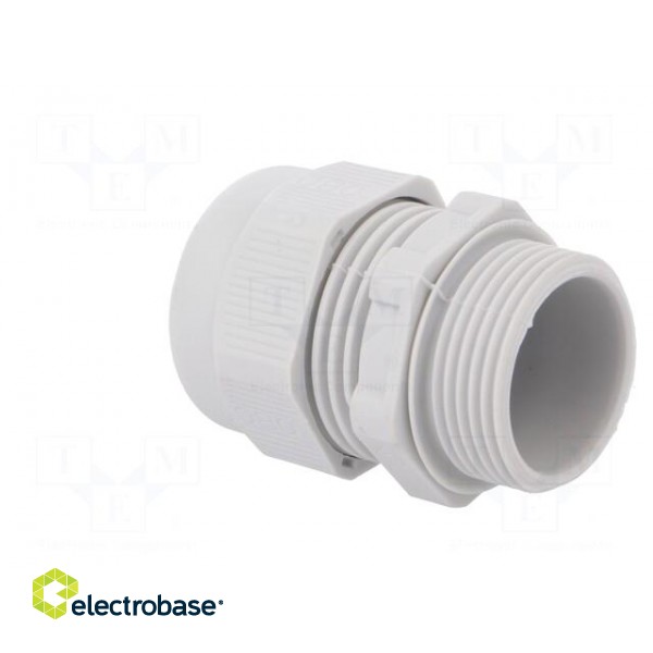 Cable gland | with metric thread | M25 | 1,5 | IP68 | Mat: polyamide image 4