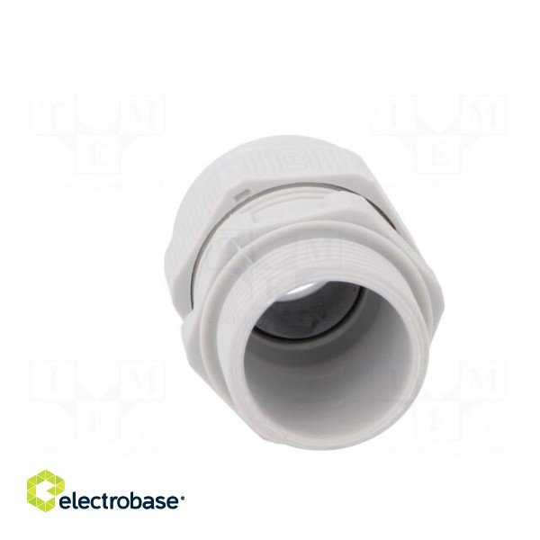 Cable gland | with metric thread | M25 | 1,5 | IP68 | Mat: polyamide image 5