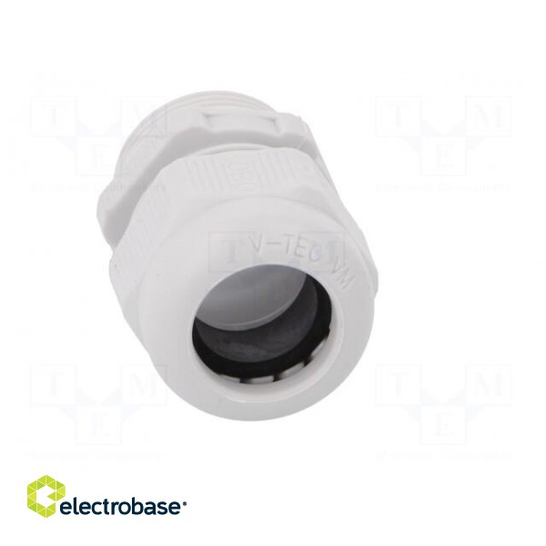 Cable gland | with metric thread | M25 | 1,5 | IP68 | Mat: polyamide image 9