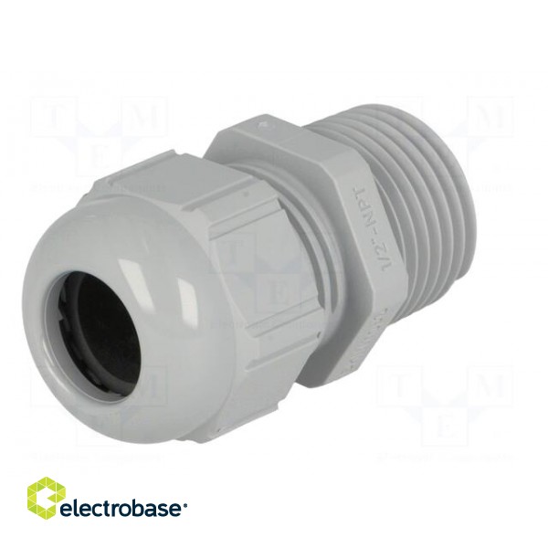 Cable gland | NPT1/2" | IP68 | Mat: polyamide | grey image 2