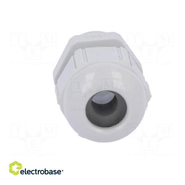 Cable gland | PG11 | IP68 | Mat: polyamide | light grey image 9