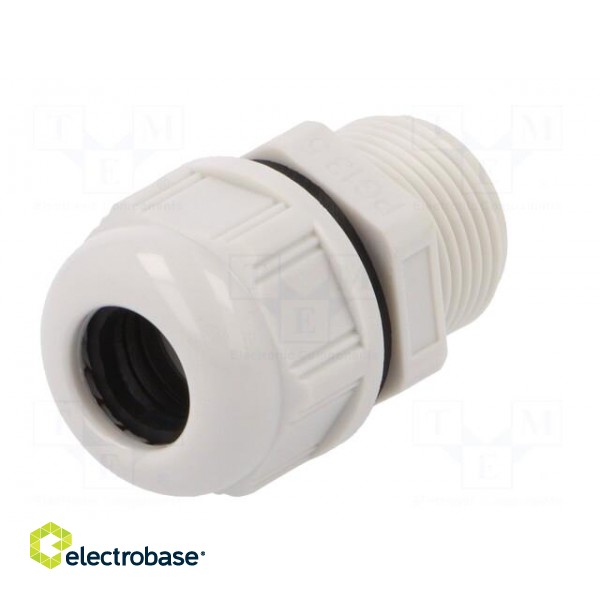 Cable gland | PG13,5 | IP68 | Mat: polyamide | light grey | UL94V-2 image 2