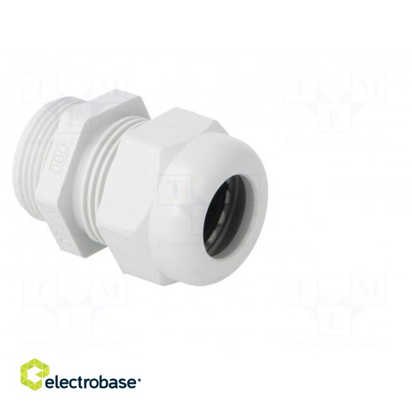 Cable gland | with thread PG | PG21 | IP68 | Mat: polyamide фото 8