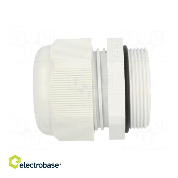 Cable gland | PG29 | IP68 | Mat: polyamide image 3