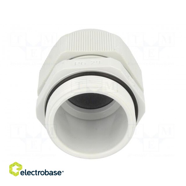 Cable gland | PG29 | IP68 | Mat: polyamide image 5