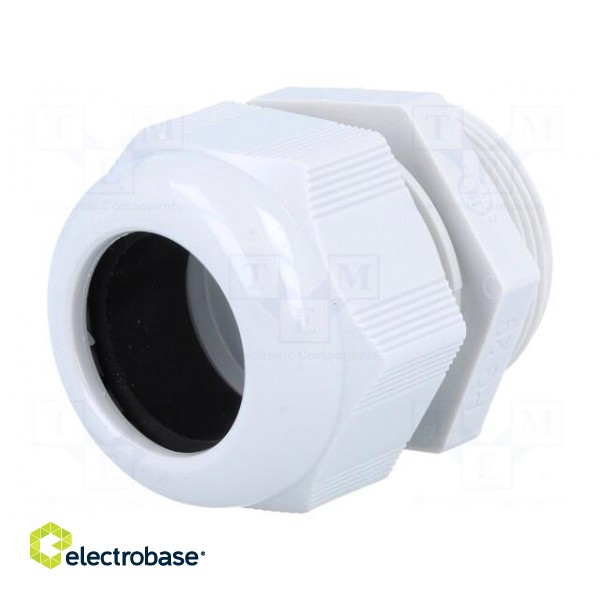 Cable gland | PG29 | IP68 | polyamide | grey | HELUTOP HT-PG image 1