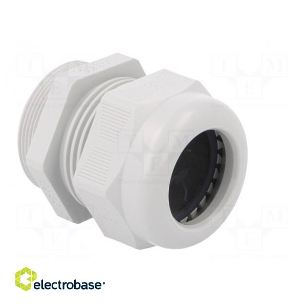 Cable gland | with thread PG | PG36 | IP68 | Mat: polyamide фото 8