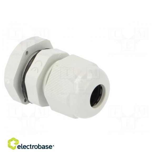Cable gland | PG9 | IP67 | Mat: polyamide | grey | Conform to: DIN 40430 image 8