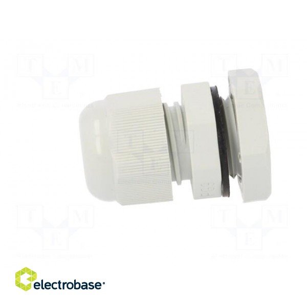 Cable gland | PG9 | IP67 | Mat: polyamide | grey | Conform to: DIN 40430 image 3