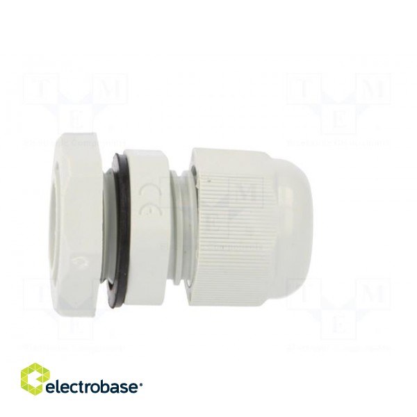 Cable gland | PG9 | IP67 | Mat: polyamide | grey | Conform to: DIN 40430 image 7