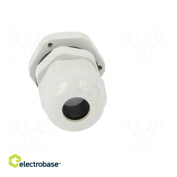 Cable gland | PG9 | IP67 | Mat: polyamide | grey | Conform to: DIN 40430 image 9