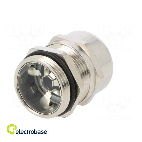 Cable gland | with earthing | PG21 | IP68 | brass | SKINTOP® MS-SC paveikslėlis 6