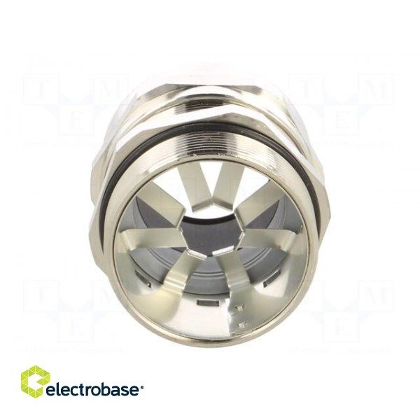 Cable gland | with earthing | PG36 | IP68 | brass | SKINTOP® MS-SC image 5