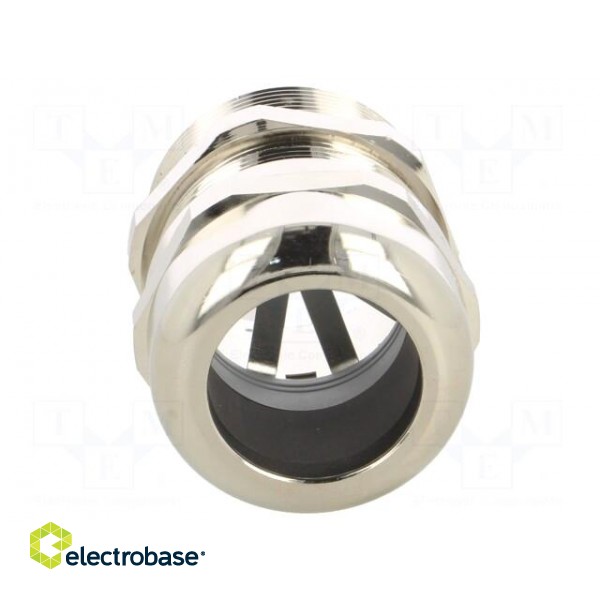 Cable gland | with earthing | PG36 | IP68 | brass | SKINTOP® MS-SC image 9