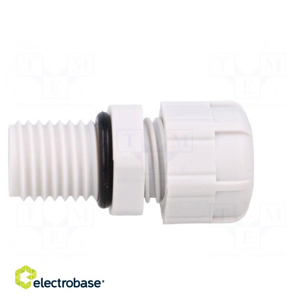 Cable gland | with long thread | M12 | 1.5 | IP68 | polyamide | grey image 7