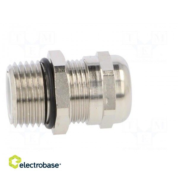 Cable gland | with long thread | NPT1/2" | IP68 | Mat: brass paveikslėlis 7