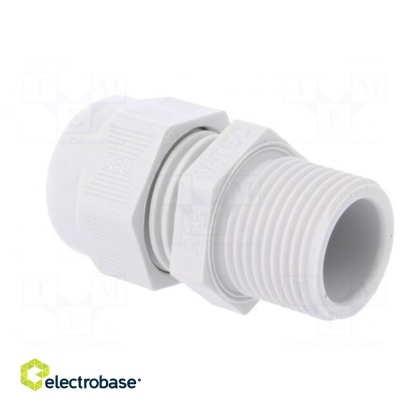 Cable gland | with thread PG,with long thread | PG11 | IP68 paveikslėlis 4