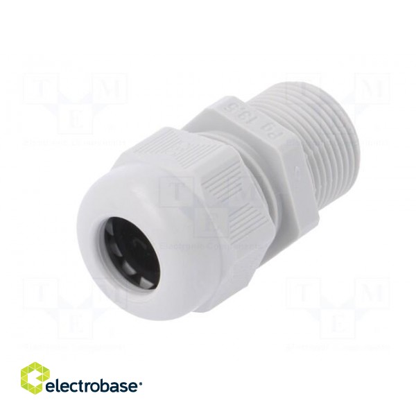 Cable gland | with thread PG,with long thread | PG13,5 | IP68 фото 2