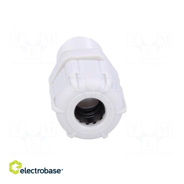 Cable gland | with long thread | PG7 | IP68 | Mat: polyamide | grey image 9