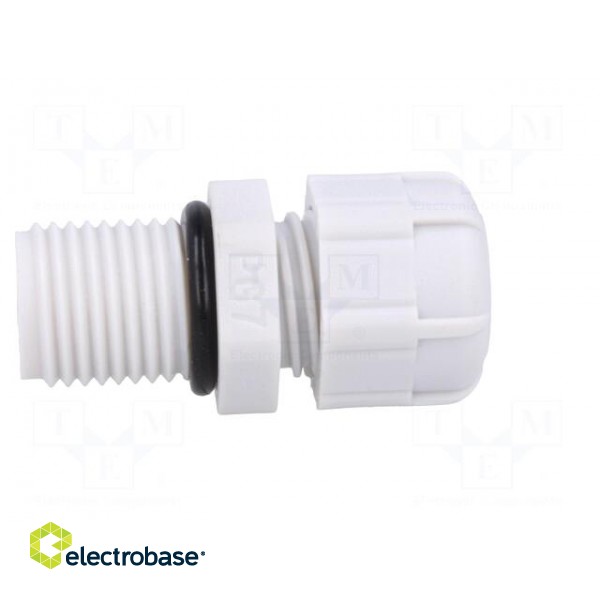 Cable gland | with long thread | PG7 | IP68 | Mat: polyamide | grey image 7