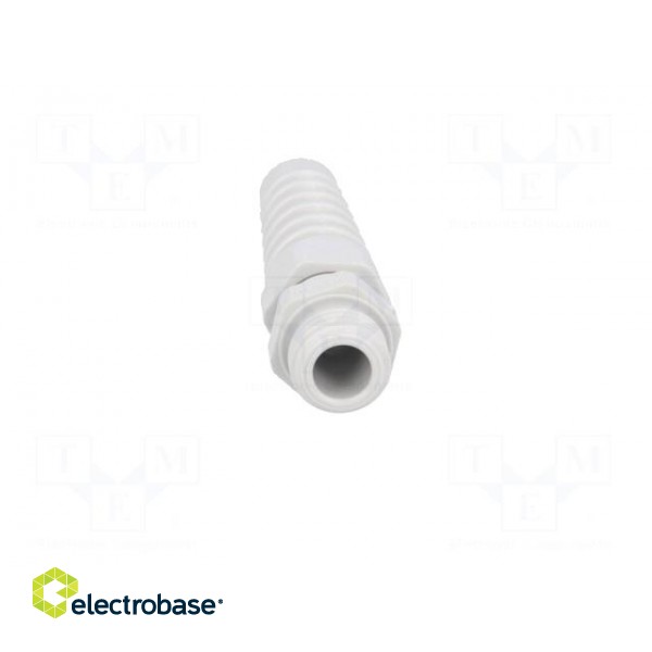 Cable gland | with strain relief | M12 | 1,5 | IP68 | Mat: polyamide paveikslėlis 9