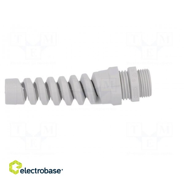 Cable gland | with strain relief | M20 | 1,5 | IP68 | Mat: polyamide image 7