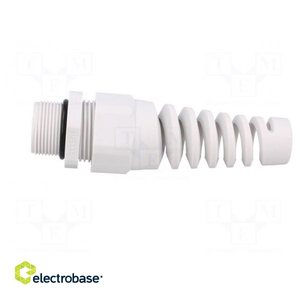 Cable gland | with strain relief | M25 | 1.5 | IP68 | polyamide | grey image 3