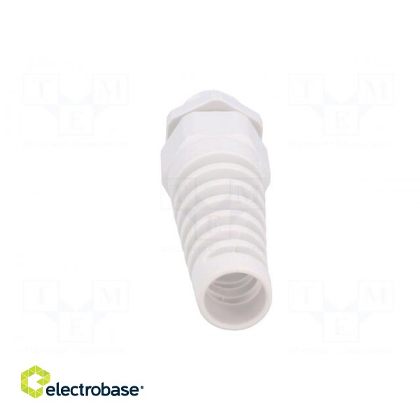 Cable gland | with strain relief | M25 | 1.5 | IP68 | polyamide | grey image 5