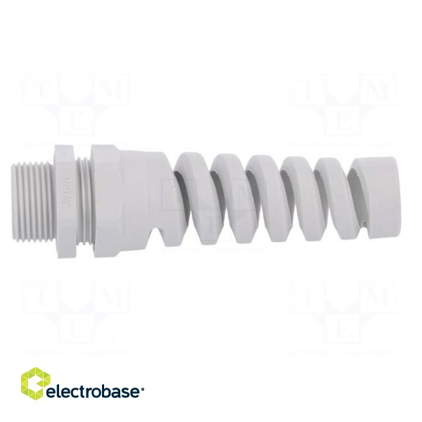 Cable gland | with strain relief | NPT3/4" | IP68 | Mat: polyamide paveikslėlis 3