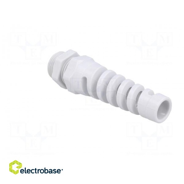 Cable gland | with strain relief | PG11 | IP68 | Mat: polyamide | grey paveikslėlis 4