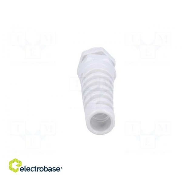 Cable gland | with strain relief | PG11 | IP68 | Mat: polyamide | grey paveikslėlis 5