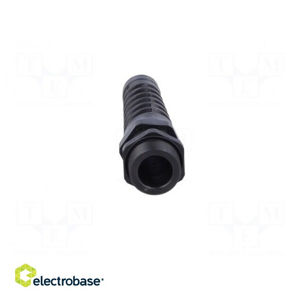 Cable gland | with strain relief | PG13,5 | IP68 | Mat: polyamide paveikslėlis 9