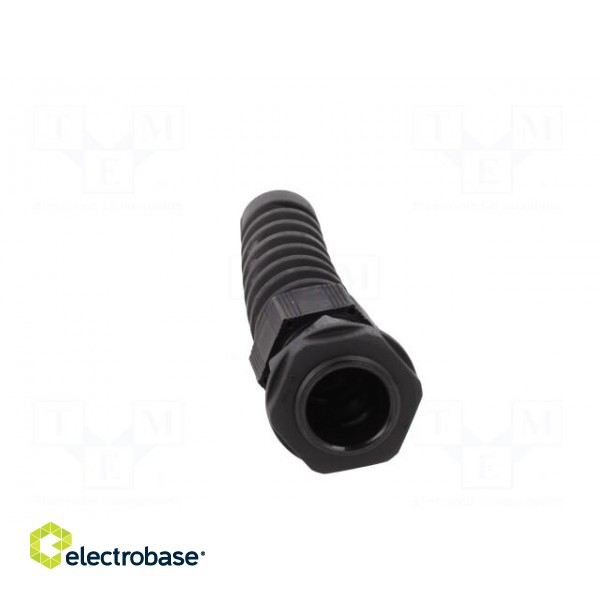 Cable gland | with strain relief | PG16 | IP66,IP68 | Mat: polyamide paveikslėlis 9