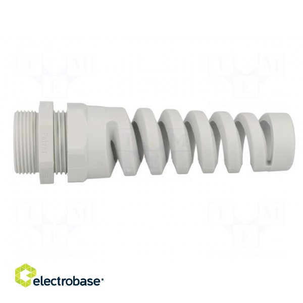 Cable gland | with strain relief | PG21 | IP68 | Mat: polyamide | grey paveikslėlis 3