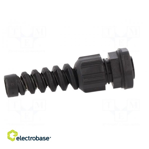Cable gland | with strain relief | PG9 | IP66,IP68 | polyamide | black image 7