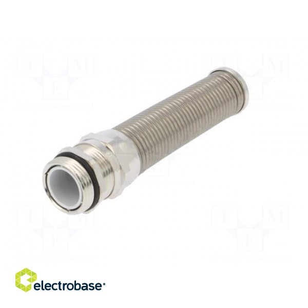 Cable gland | with strain relief,with earthing | PG16 | IP68 image 3