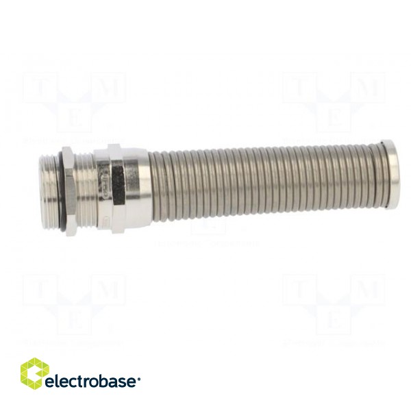 Cable gland | with strain relief,with earthing | PG16 | IP68 image 4