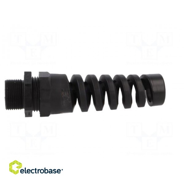 Cable gland | with strain relief,with long thread | M25 | 1,5 | IP68 image 3