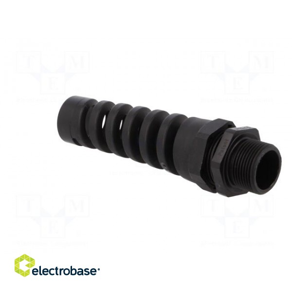 Cable gland | with strain relief,with long thread | M25 | 1,5 | IP68 image 8