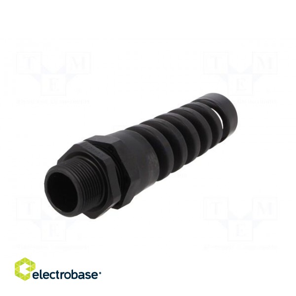 Cable gland | with strain relief,with long thread | M25 | 1,5 | IP68 image 2